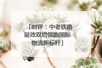 时评：中老铁路量效双增领跑国际物流新标杆