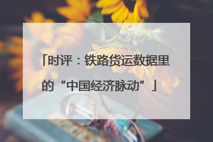 时评：铁路货运数据里的“中国经济脉动”