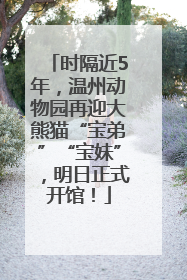 时隔近5年，温州动物园再迎大熊猫“宝弟”“宝妹”，明日正式开馆！