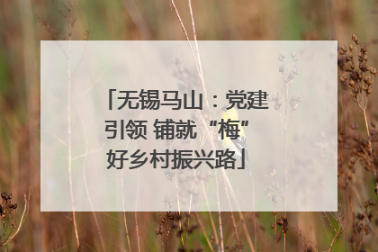 无锡马山：党建引领 铺就“梅”好乡村振兴路