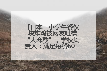 日本一小学午餐仅一块炸鸡被网友吐槽“太寒酸”，学校负责人：满足每餐600千卡的标准