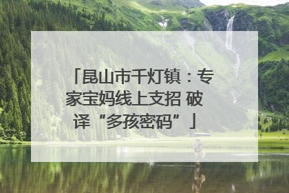 昆山市千灯镇：专家宝妈线上支招 破译“多孩密码”