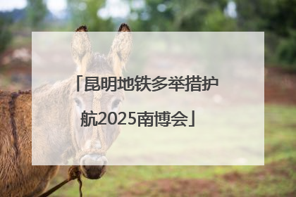 昆明地铁多举措护航2025南博会