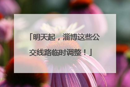 明天起，淄博这些公交线路临时调整！