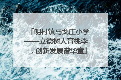 明村镇马戈庄小学——立德树人育桃李，创新发展谱华章
