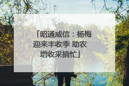 昭通威信：杨梅迎来丰收季 助农增收采摘忙