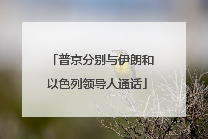 普京分别与伊朗和以色列领导人通话