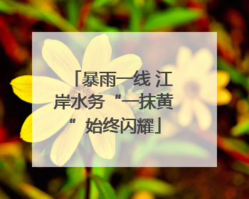 暴雨一线 江岸水务“一抹黄”始终闪耀