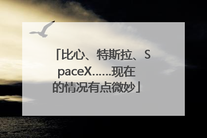 比心、特斯拉、SpaceX……现在的情况有点微妙