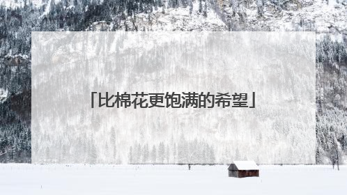 比棉花更饱满的希望