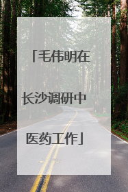 毛伟明在长沙调研中医药工作