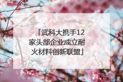 武科大携手12家头部企业成立耐火材料创新联盟