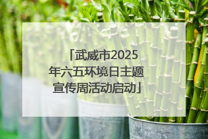 武威市2025年六五环境日主题宣传周活动启动