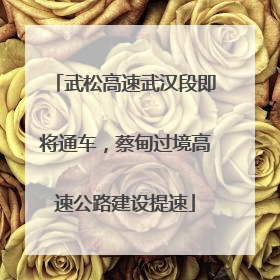 武松高速武汉段即将通车，蔡甸过境高速公路建设提速