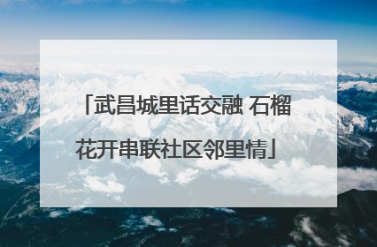 武昌城里话交融 石榴花开串联社区邻里情