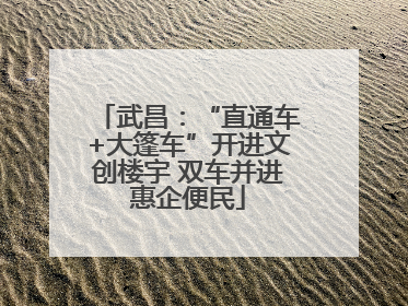 武昌：“直通车+大篷车”开进文创楼宇 双车并进惠企便民