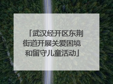 武汉经开区东荆街道开展关爱困境和留守儿童活动
