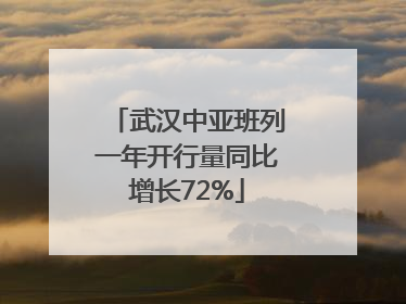 武汉中亚班列一年开行量同比增长72%