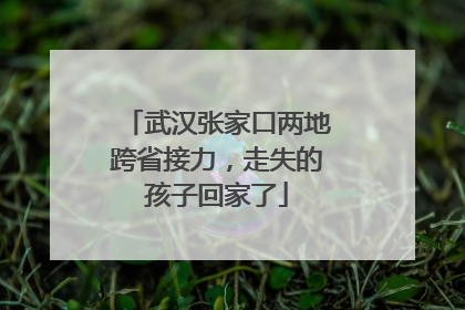 武汉张家口两地跨省接力，走失的孩子回家了