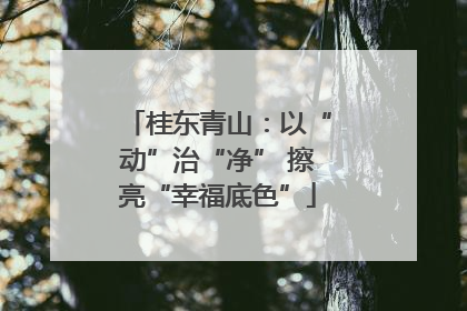 桂东青山：以“动”治“净” 擦亮“幸福底色”
