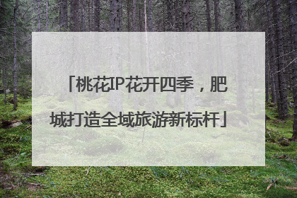 桃花IP花开四季，肥城打造全域旅游新标杆