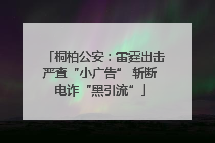 桐柏公安：雷霆出击严查“小广告” 斩断电诈“黑引流”