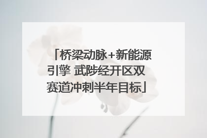 桥梁动脉+新能源引擎 武陟经开区双赛道冲刺半年目标