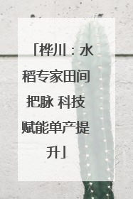 桦川：水稻专家田间把脉 科技赋能单产提升