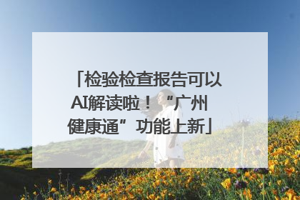 检验检查报告可以AI解读啦！“广州健康通”功能上新