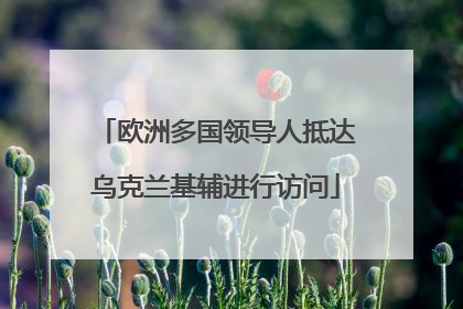 欧洲多国领导人抵达乌克兰基辅进行访问