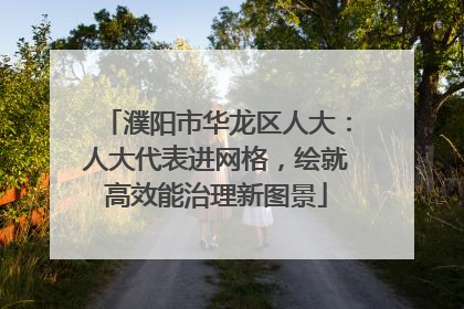 濮阳市华龙区人大：人大代表进网格，绘就高效能治理新图景