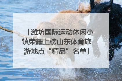 潍坊国际运动休闲小镇荣耀上榜山东体育旅游地点“精品”名单