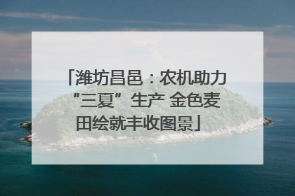 潍坊昌邑：农机助力“三夏”生产 金色麦田绘就丰收图景