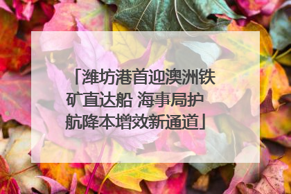 潍坊港首迎澳洲铁矿直达船 海事局护航降本增效新通道