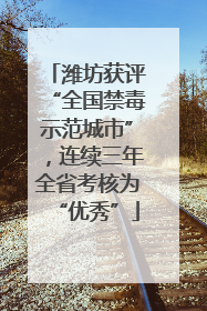 潍坊获评“全国禁毒示范城市”，连续三年全省考核为“优秀”