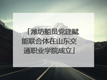 潍坊船员党建赋能联合体在山东交通职业学院成立