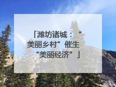 潍坊诸城：“美丽乡村”催生“美丽经济”