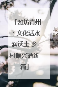 潍坊青州：文化活水润沃土 乡村振兴谱新篇