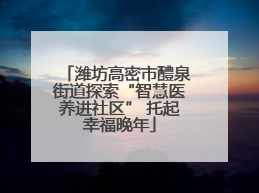 潍坊高密市醴泉街道探索“智慧医养进社区” 托起幸福晚年