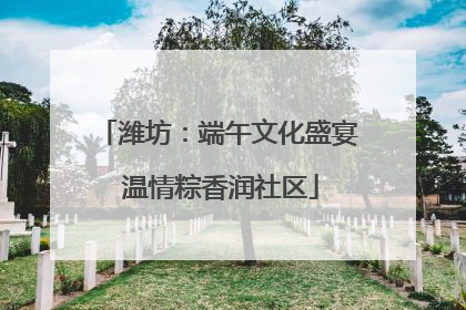 潍坊：端午文化盛宴 温情粽香润社区