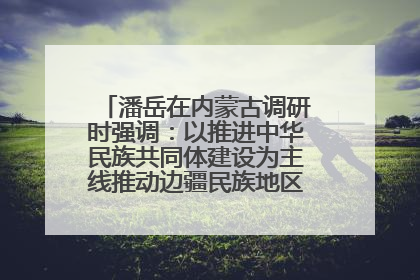 潘岳在内蒙古调研时强调：以推进中华民族共同体建设为主线推动边疆民族地区高质量发展