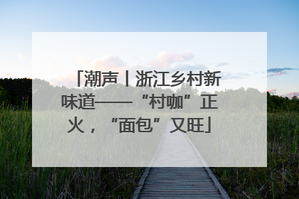 潮声丨浙江乡村新味道——“村咖”正火，“面包”又旺