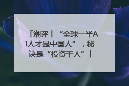 潮评丨“全球一半AI人才是中国人”，秘诀是“投资于人”