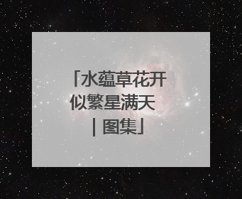 水蕴草花开 似繁星满天｜图集