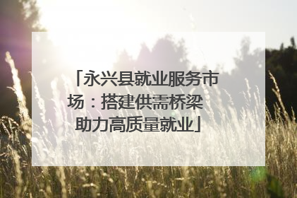 永兴县就业服务市场：搭建供需桥梁 助力高质量就业