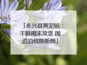 永兴县黄泥镇：干群周末攻坚 国道沿线焕新颜
