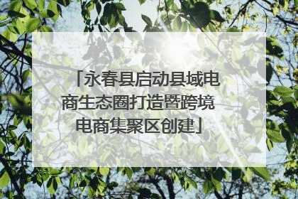 永春县启动县域电商生态圈打造暨跨境电商集聚区创建