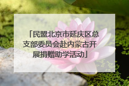 民盟北京市延庆区总支部委员会赴内蒙古开展捐赠助学活动