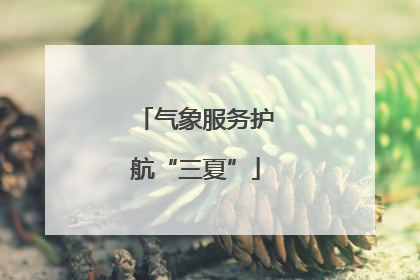 气象服务护航“三夏”