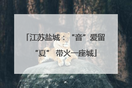 江苏盐城：“音”爱留“夏” 带火一座城